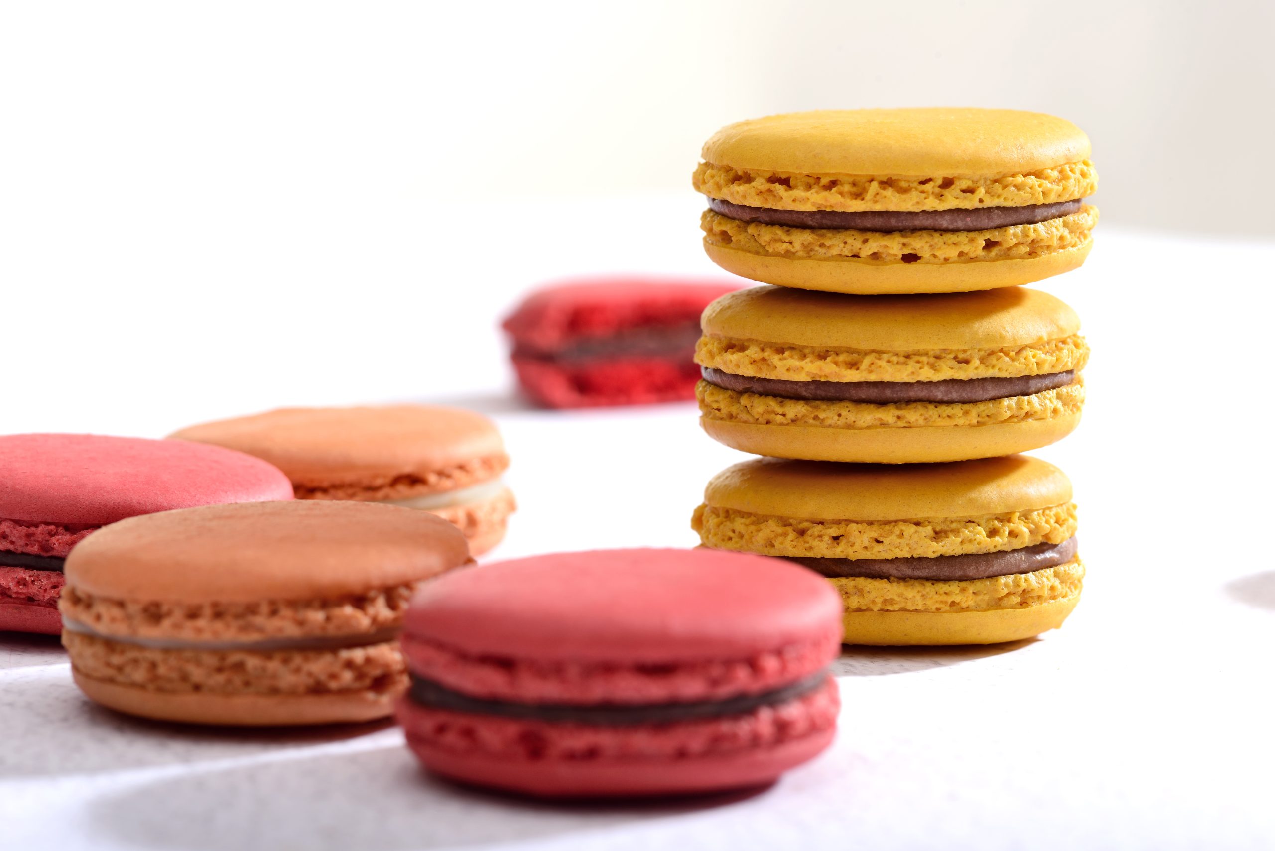 Order Macaron Gift Boxes Online
